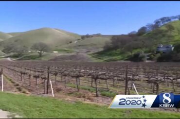 These 50 States: How the trade war is impacting California