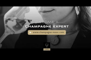 Teaser - Champagne MOOC