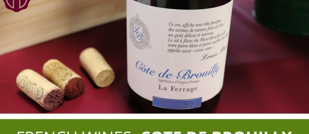 Cote De Bruilly | Tasting Kosher French Wines Cote De Bruilly | Tasting Kosher French Wines