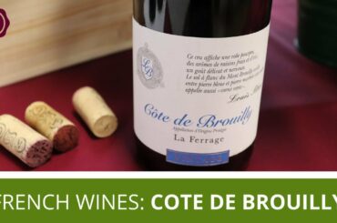Cote De Bruilly | Tasting Kosher French Wines