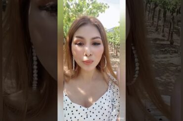 NAPA/CALIFORNIA/ THE WORLD FAMOUS WINE GROWING