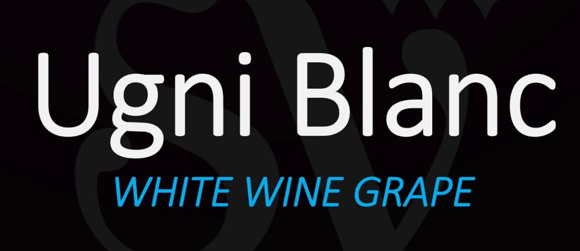 How to Pronounce Ugni Blanc? The Grape behind Cognac & Armagnac Brandy