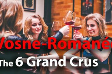 The 6 Grands Crus of Vosne-Romanée | Know your Burgundy Wine!