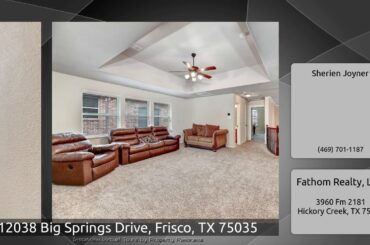 12038 Big Springs Drive, Frisco, TX 75035