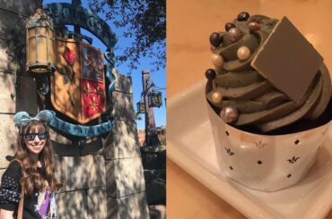 Be Our Guest Restaurant Lunch at the Magic Kingdom I Disney World Dining Review