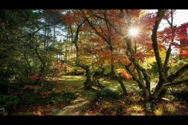 74 Hargraves Street, BLACKHEATH, NSW