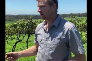 Saddler's Creek Wines on the 'Diamond Edition' 2018 Alessandro Reserve Shiraz