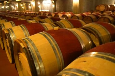 The winemakers of Bordeaux, France | Wine & Country