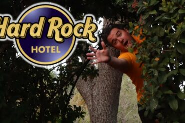 Hard Rock Hotel & Chocolate Emporium Dining | Universal Studios Orlando