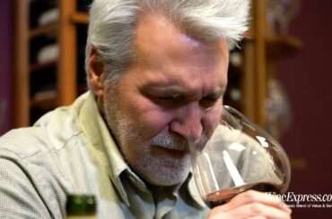 Chateau de Belcier 2010 Castillon Cotes de Bordeaux