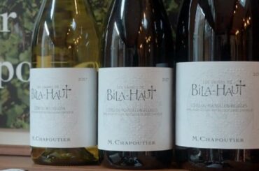 M. Chapoutier - Roussillon Region