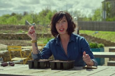 French Beans Growing Guide- GROW COOK EAT