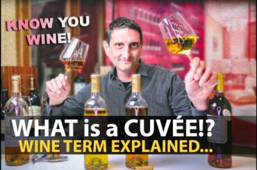 What is a Cuvée? Wine Term Explained | Let's NOT STOP Sharing about VINO