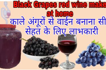 Black Grapes Wine make at home. Desi Shrab & food recipes