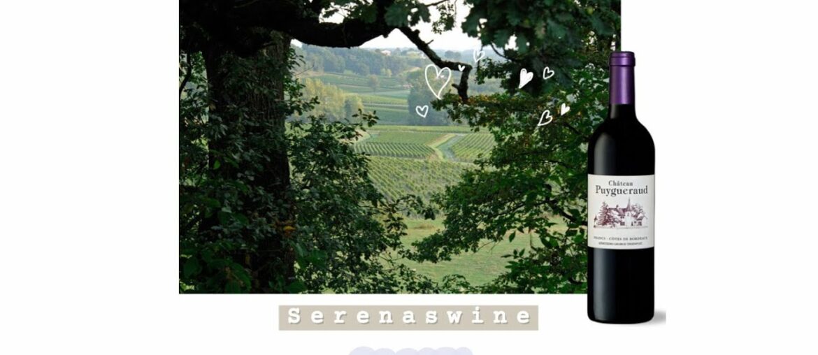 赛睿娜的微醺小酒馆Wine#02