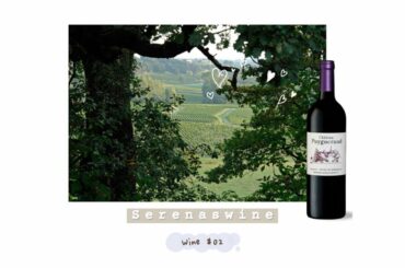 赛睿娜的微醺小酒馆Wine#02