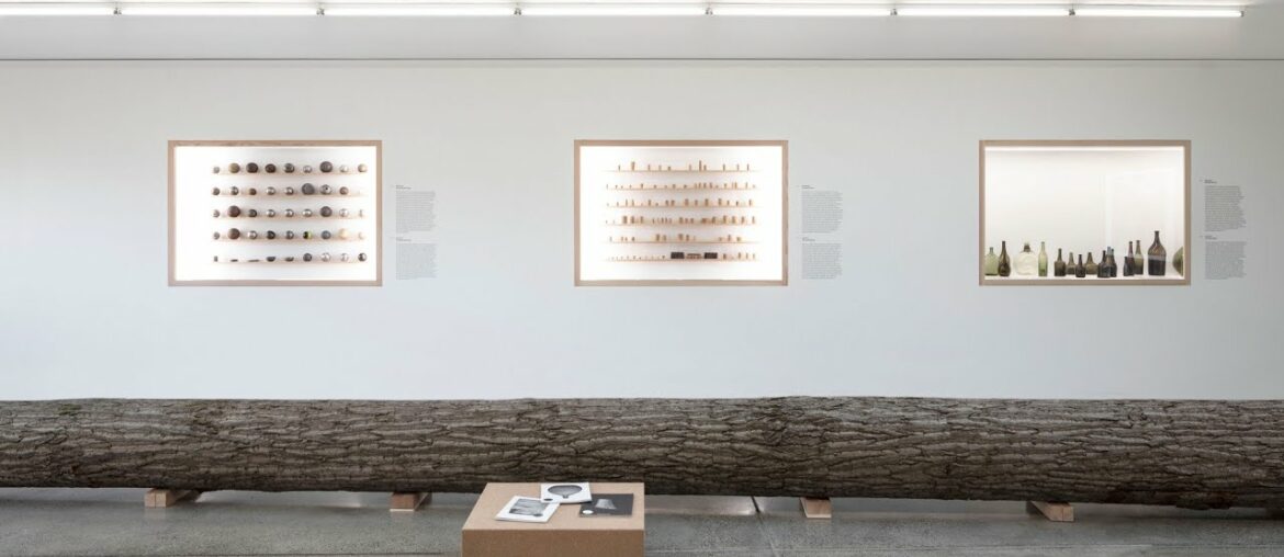 "Typology: An Ongoing Study of Everyday Items" Exhibition Tour "Typology: An Ongoing Study of Everyday Items" Exhibition Tour