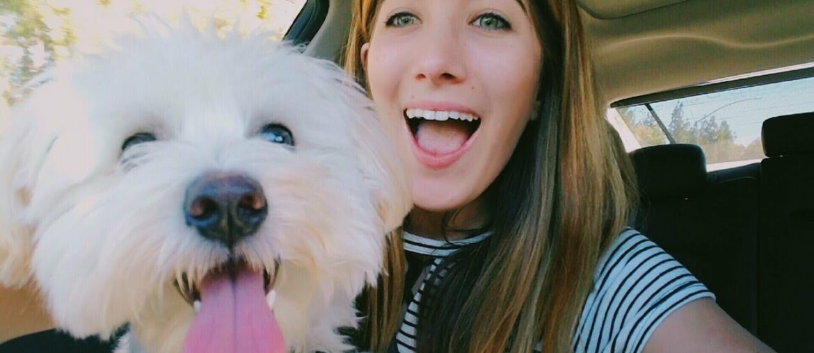 Learn French Verbs / Talking About Yourself