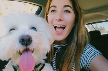 Learn French Verbs / Talking About Yourself