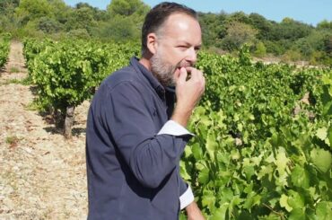 Vignoble de Loup Blanc, Minervois, France