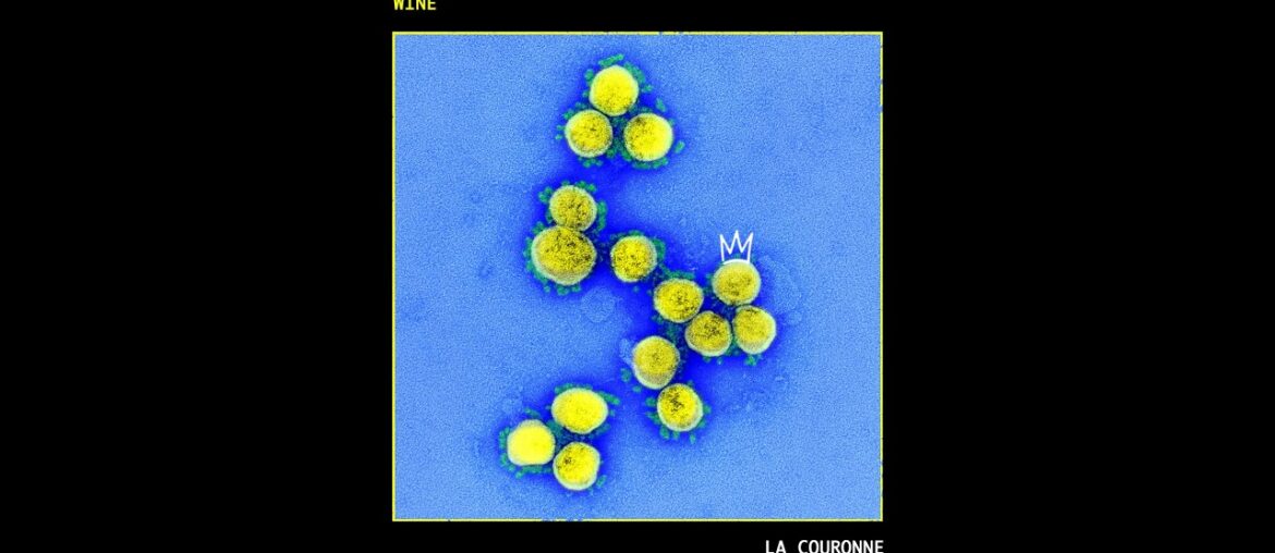 WINE – La Couronne (Version Acoustique) WINE - La Couronne (Version Acoustique)