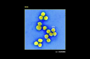 WINE - La Couronne (Version Acoustique)