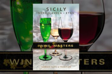 Wine Masters: Sicily
