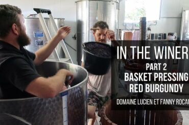 In the Winery - Part 2 Basket Pressing Red Burgundy