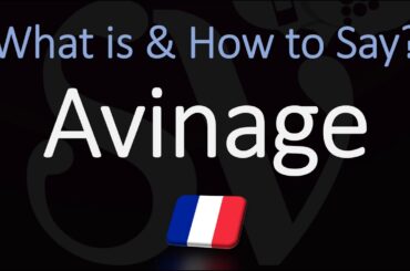 How is Avinage? Wine Term Definition & Pronunciation (Aviner a Wine Glass)