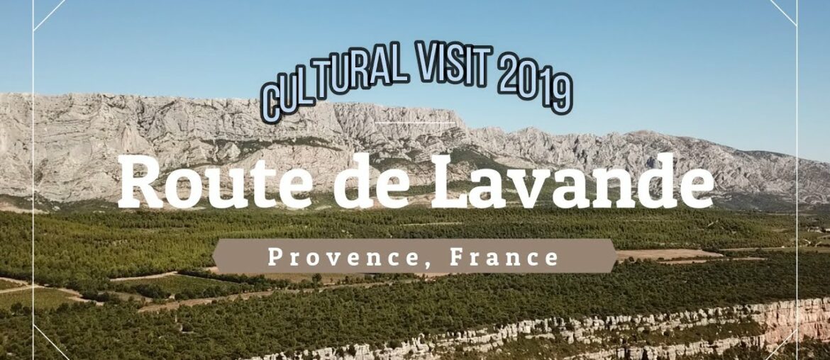 How to do Cultural Visit Lavender Route France How to do Cultural Visit Lavender Route France