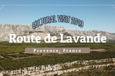 How to do Cultural Visit Lavender Route France