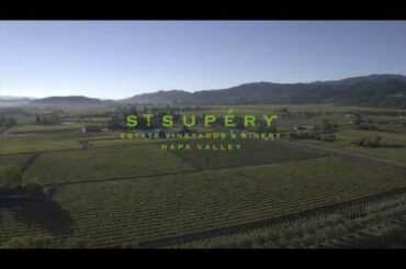 St. Supéry: Rutherford Estate Vineyard