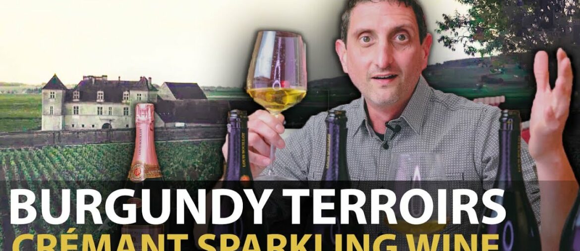Burgundy's Great Terroir for Sparkling Wines! Crémants de Bourgogne by Louis Bouillot Burgundy's Great Terroir for Sparkling Wines! Crémants de Bourgogne by Louis Bouillot