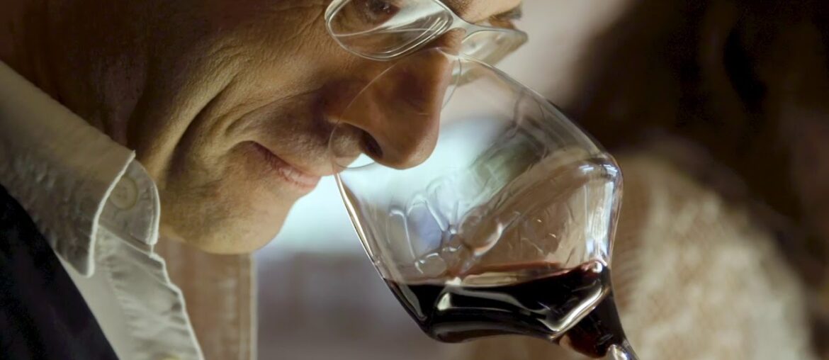 Decanter Tours best Bordeaux wine tour