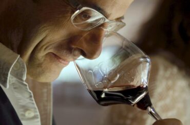 Decanter Tours best Bordeaux wine tour