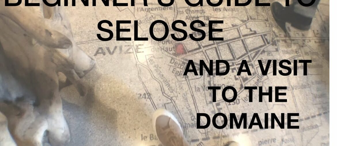 A Beginner's Guide To Champagne Jacques Selosse Style ( and A Visit To The Domaine) A Beginner's Guide To Champagne Jacques Selosse Style ( and A Visit To The Domaine)