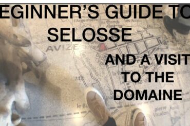 A Beginner's Guide To Champagne Jacques Selosse Style ( and A Visit To The Domaine)