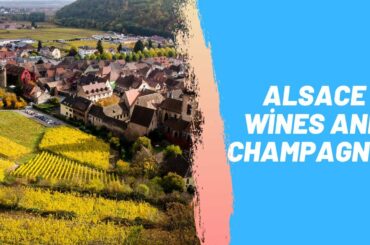 Alsace Wines And Champagnes