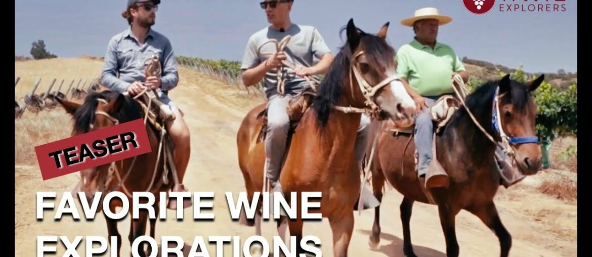Teaser – Coups de coeur viticoles | WINE EXPLORERS Teaser - Coups de coeur viticoles | WINE EXPLORERS