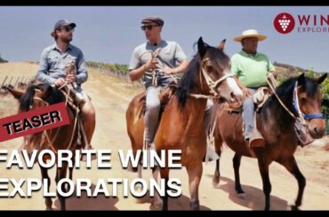 Teaser - Coups de coeur viticoles | WINE EXPLORERS