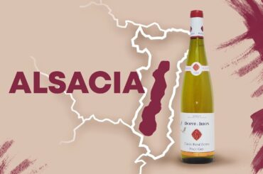 1ª Etapa | ALSACIA | Chateau de Riquewihr - PINOT GRIS RD DOPFF & IRION 2018