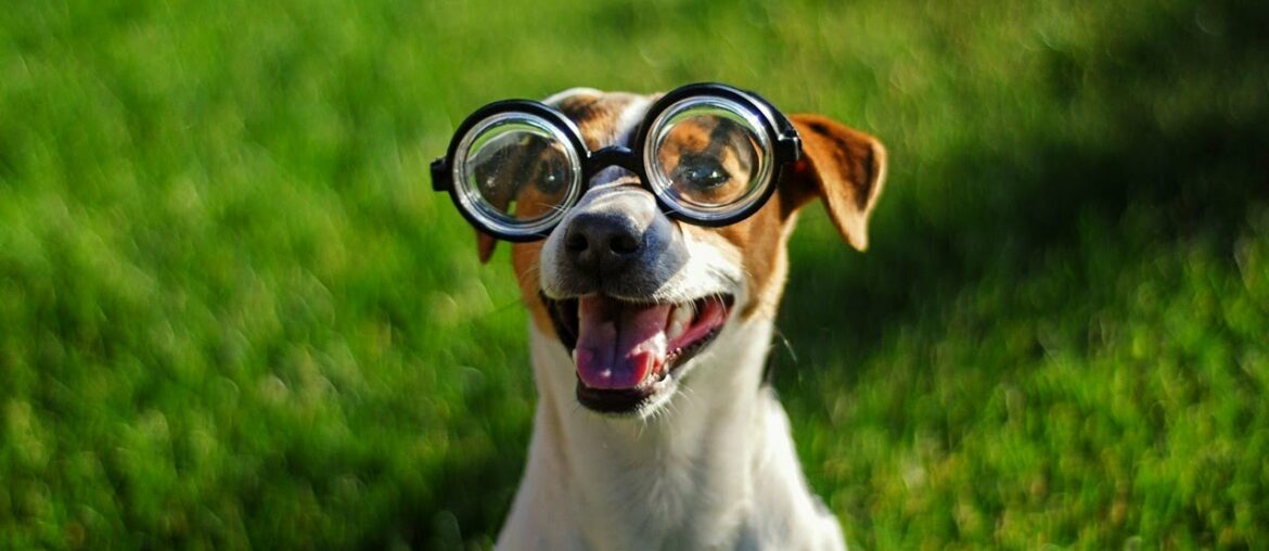 Learn French With Vincent - Daily Phrases