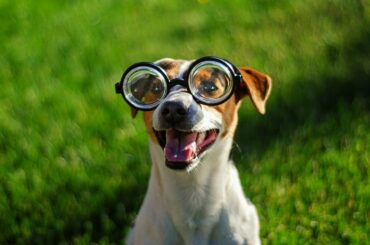 Learn French With Vincent - Daily Phrases