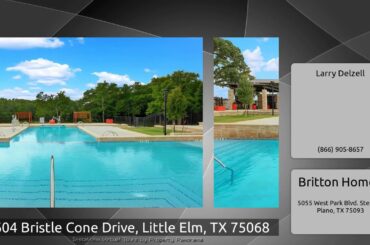 3604 Bristle Cone Drive, Little Elm, TX 75068