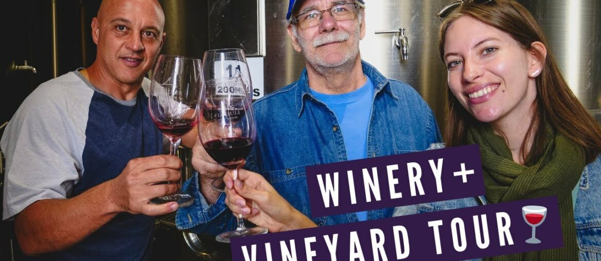 Mendoza WINERY + VINEYARD Tour 🍇 | Visiting BODEGAS LUMINIS in Maipu, Argentina 🍷 Mendoza WINERY + VINEYARD Tour 🍇 | Visiting BODEGAS LUMINIS in Maipu, Argentina 🍷