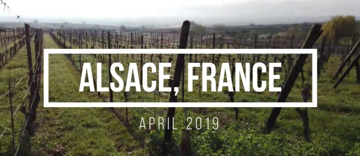 Alsace, France. (April 2019). Colmar, Vineyards, and Villages Alsace, France. (April 2019). Colmar, Vineyards, and Villages