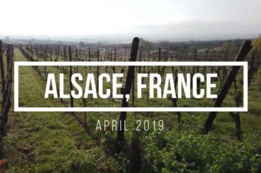 Alsace, France. (April 2019). Colmar, Vineyards, and Villages