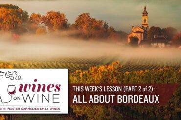 Wines on Wine - All About Bordeaux (Part 2 of 2)