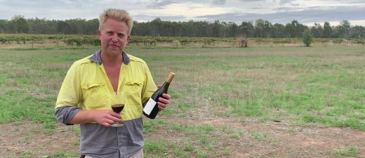 2016 All Saints Estate Old Vine Shiraz