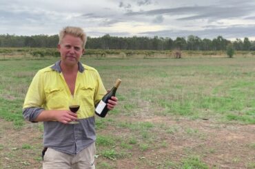 2016 All Saints Estate Old Vine Shiraz